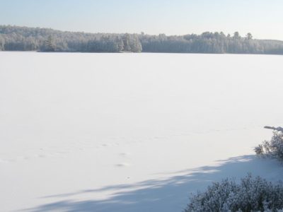 A frozen lake covered in snow with trees along the shoreline under a clear, pale blue sky.